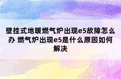 壁挂式地暖燃气炉出现e5故障怎么办 燃气炉出现e5是什么原因如何解决